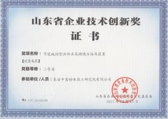山东省企业技术创新奖